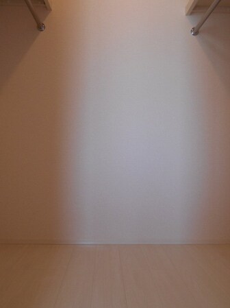 ロイジェントパークスレイクタウンII Aの物件内観写真